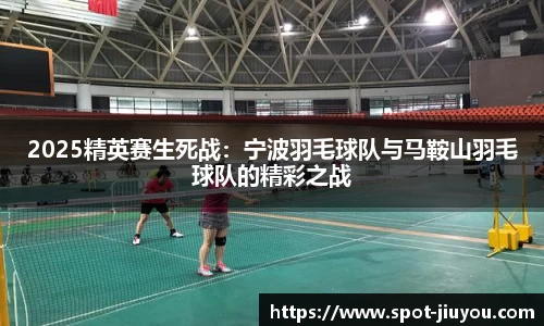 2025精英赛生死战：宁波羽毛球队与马鞍山羽毛球队的精彩之战